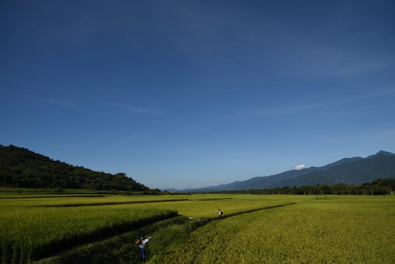 Lost And Find Homestay 관샨 외부 사진